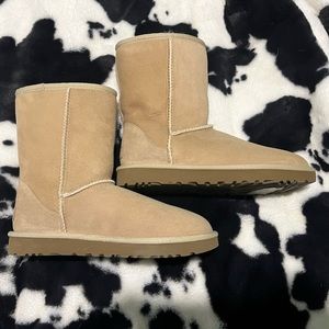 UGG Classic II Short